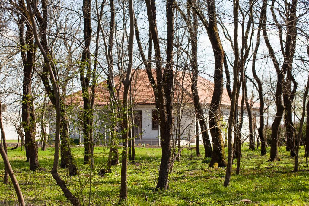 Kakasszeki Vendeghaz Hotel Székkutas Exterior foto